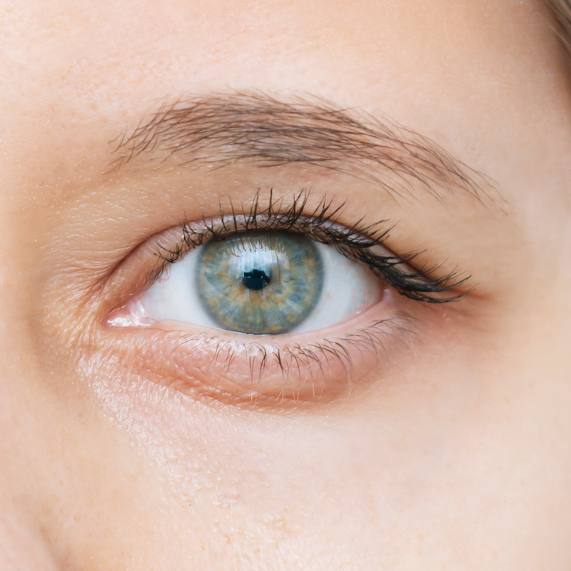 eyelid
